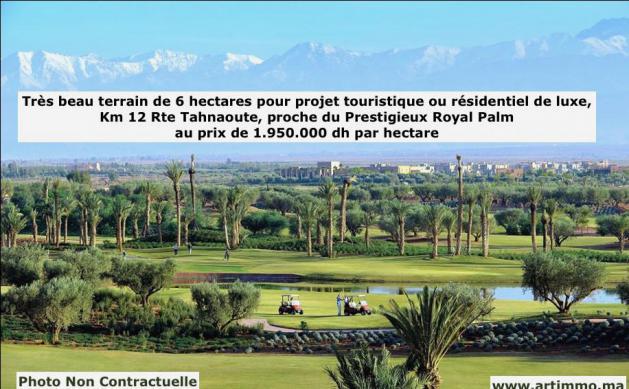 TERRAIN DE 6H PR PROJET TOURISTIQUES OU VILLA