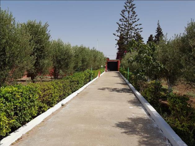 ferme de 4700 m2 à deroua