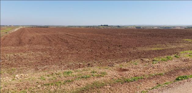 terrain de 11 hectar a Meknes rout sabt