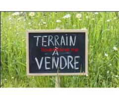 terrain de 7 hectare a settat titre foncier agricole