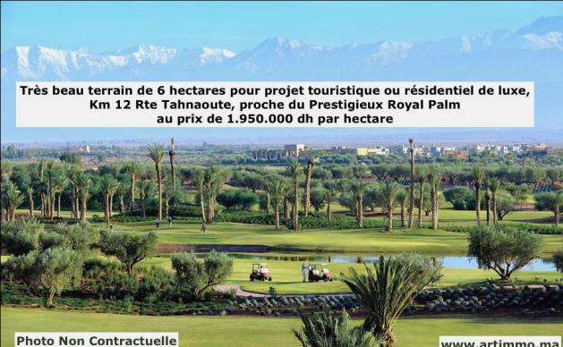 Terrain de 6ha pr projet touristique à vendre