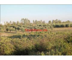 TERRAIN DE 2 HECTARES SUR LA ROUTE OURIKA